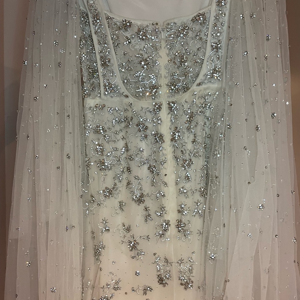DENNIS BASSO GOWN (WEDDING GOWN) - Picture 4 of 10